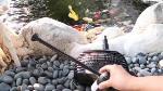 gph_water_pump_rdn